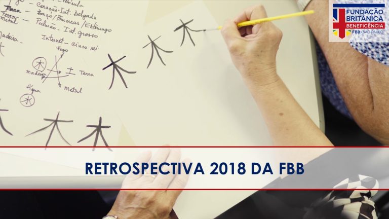Retrospectiva 2018: os resultados e projetos da Fundação Britânica de Beneficência no ano